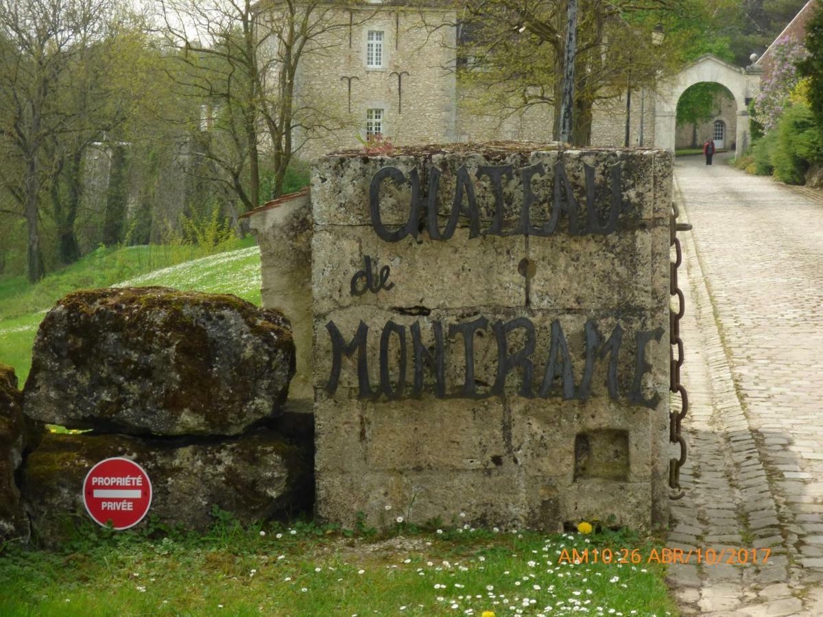 Chateau De Montrame Soisy-Bouy 외부 사진