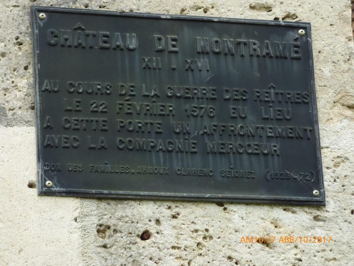 Chateau De Montrame Soisy-Bouy 외부 사진